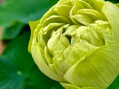 -重元寺香积厨素斋馆