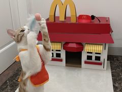 -博特宠物医院24h犬猫全科.骨科·异宠
