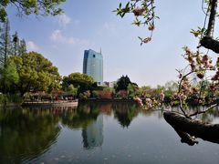 -无锡蠡湖国家湿地公园-蠡园