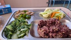 -复旦大学附属妇产科医院(杨浦院区)