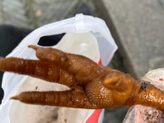 -鸡脚旮旯平江路店