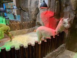 -宝燕乐园(闵行旗舰店)