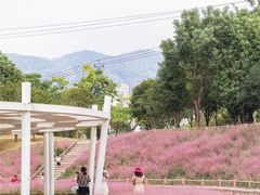 -牛岗山公园