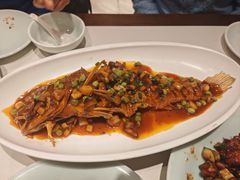 -新侨小馆(东直门北小街店)
