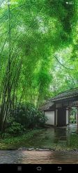 -安吉拉青春化管理中心