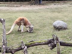 -泉州海丝野生动物世界