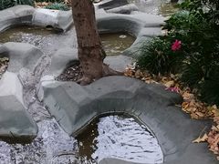 -活水公园