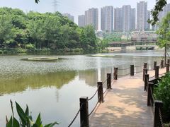 -重庆彩云湖湿地公园