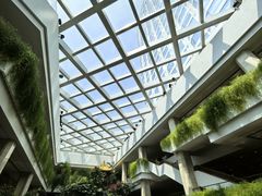 -广州白天鹅宾馆