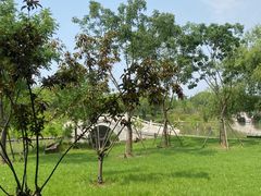 -狼山风景名胜区