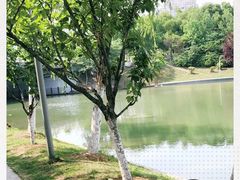 -天鹅湖体育公园