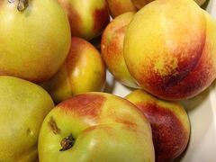 -蒙都43°9羊火锅·赤峰美食(宁城店)