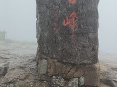 -东白山