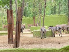 -北京野生动物园