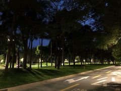 -天健公馆-停车场