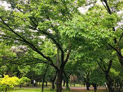 -国家植物园南园