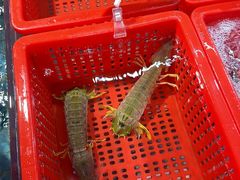 -79号渔船海鲜饭店(宝安店)