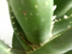 android_upload_pic-庐州太太(双岗店)