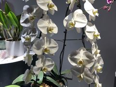 -北京植物园-展览温室