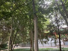 -丰台科技园生态主题公园