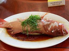 -新金盛·海鲜酒楼(盐田店)