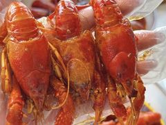 -雀蓝川菜(滨湖万象汇店)