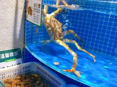 -七鲜超市(通州ONE店)
