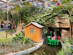 -南宫五洲植物乐园