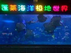 -蓬莱欧乐堡海洋极地世界