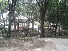 园内-西安市长乐公园