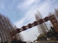 -黄海国家森林公园