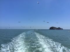 -海驴岛(荣成市)