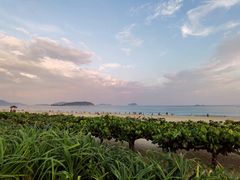 -三亚亚龙湾天域度假酒店