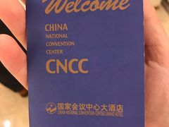 -国家会议中心大酒店