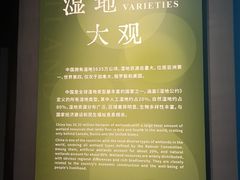 -中国湿地博物馆