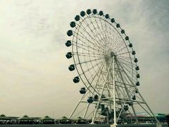 -秦皇岛乐岛海洋王国
