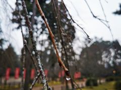 -醍醐寺