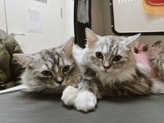 -美联众合24小时·皮肤科·外科·全科诊疗中心(华苑分院)