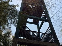 iphone_upload_pic-宁波浙东大竹海景区