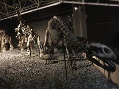 -世界恐龙谷景区