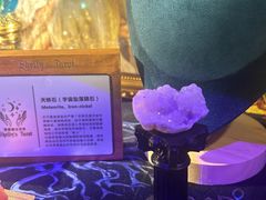 -雪灵魔法世界SHELLY’S TAROT(大良桂畔里店)