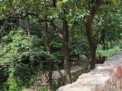 -云丘山景区