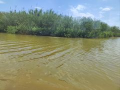-宁波杭州湾国家湿地公园