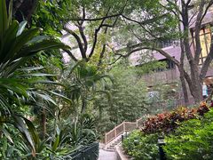 -香港大学