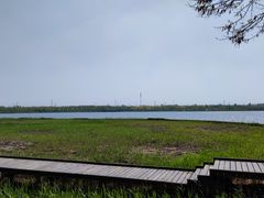 -西青郊野公园