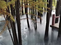 -东湖落雁景区