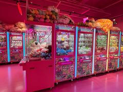 -BIG PINK大粉娃娃机主题馆(圆融星座店)