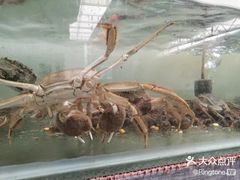 -喜洋洋蟹庄(阳澄湖店)