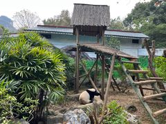 -柳州市动物园
