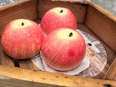 -聚福宝合苑食府(南头镇店)